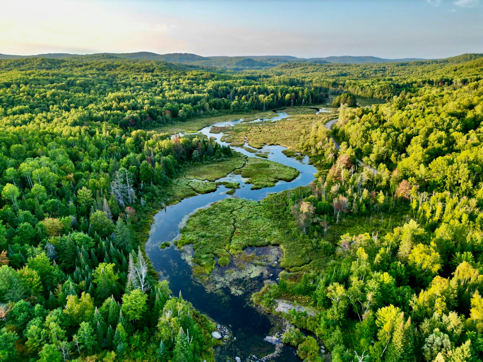 What Is Ecological Economics? Degrowth, Steady-State, and Beyond GDP